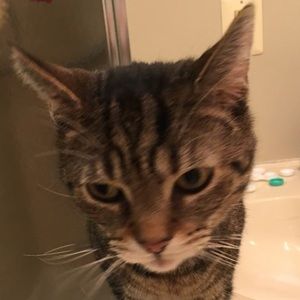 Meet your Posher, Adam